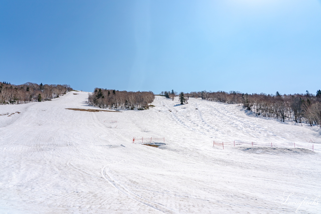 キロロリゾート｜ポカポカ陽気で絶好の春スキー日和♪こんな日は、みんなで思いっきり春雪を満喫しましょう！